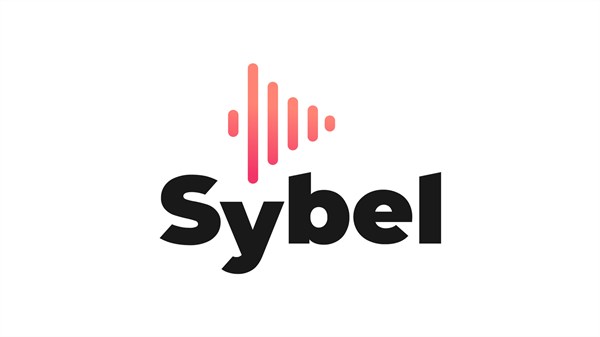renault  - application sybel